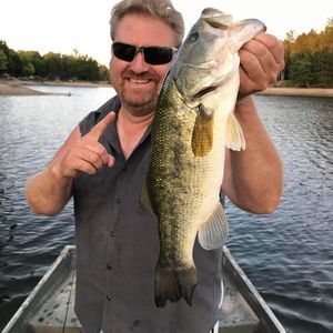 Meet your Posher, Lew